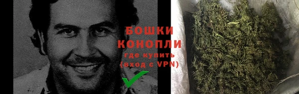 ГАЛЛЮЦИНОГЕННЫЕ ГРИБЫ Арсеньев