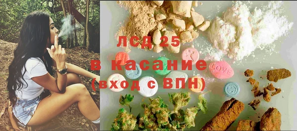 ГАЛЛЮЦИНОГЕННЫЕ ГРИБЫ Арсеньев