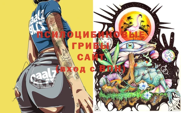 прущая мука Армянск