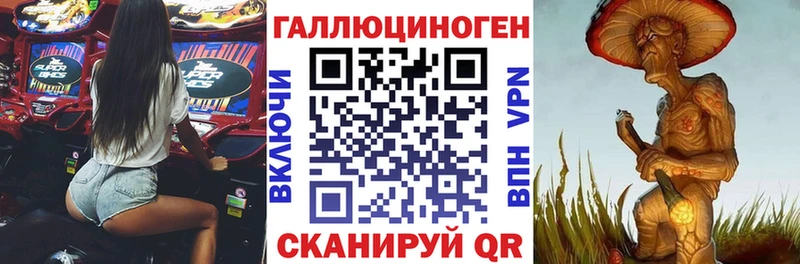 купить наркотик  KRAKEN ссылки  Галлюциногенные грибы Magic Shrooms  Усть-Джегута 