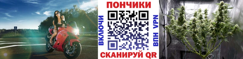 МАРИХУАНА сатива  Усть-Джегута 